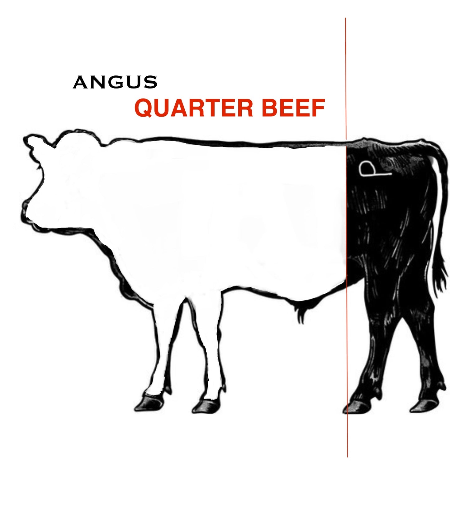 Angus Beef Shares Deposit