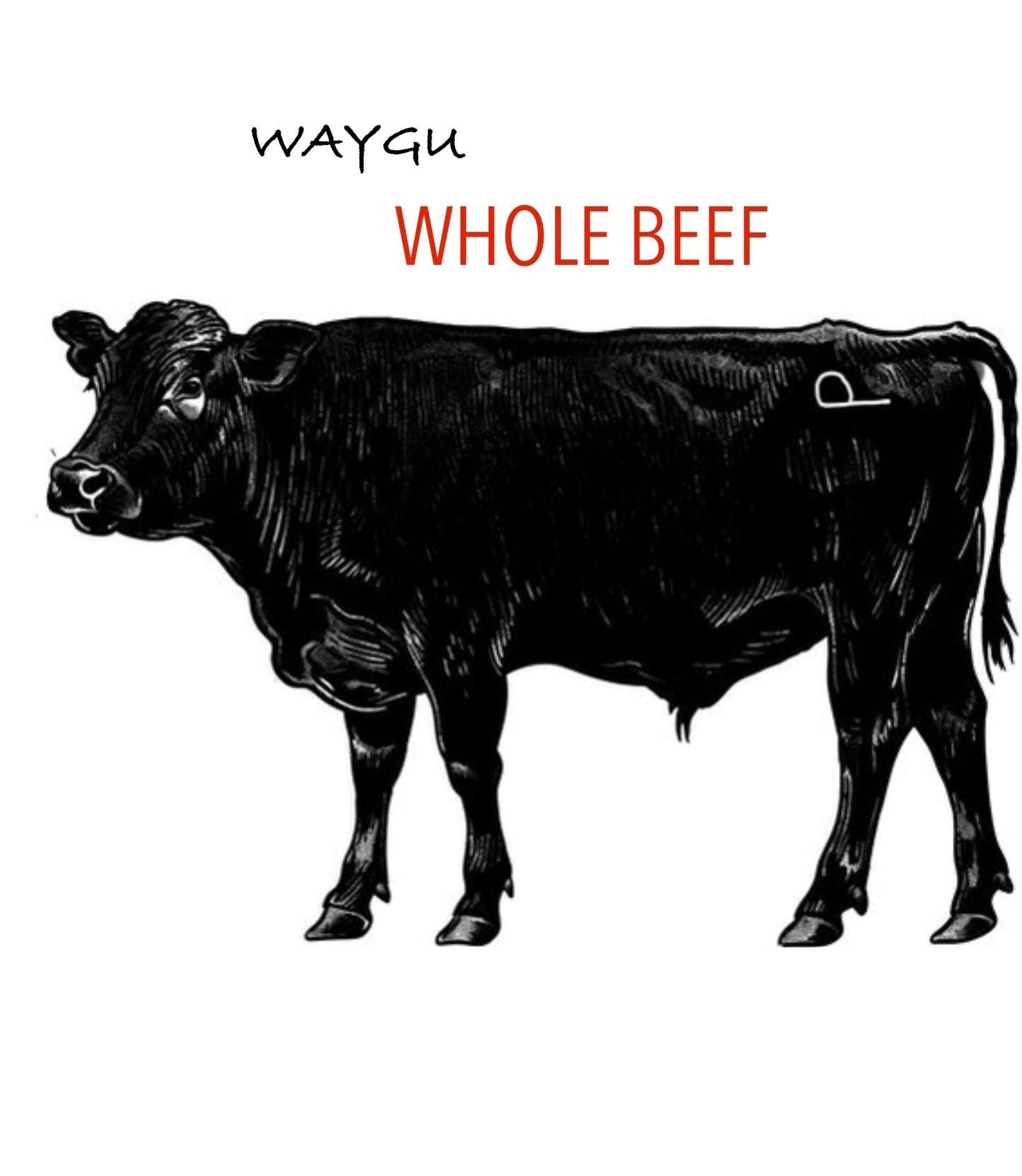 April American Wagyu Beef Shares