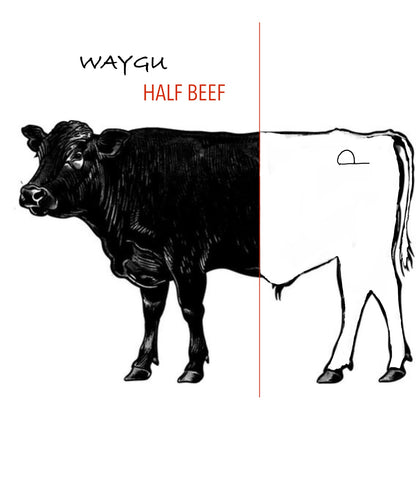 April American Wagyu Beef Shares